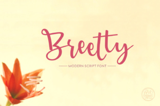 Breetty: A Playful Script Font for Design