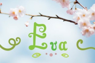Eva Script: A Playful Hand-Drawn Font with Surprising Versatility