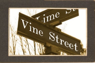 Vine Street & VineStreet: The Familiar Comfort of a Name Everyone Knows
